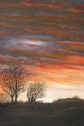 Moorland heath sunset